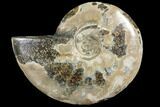 Agatized Ammonite Fossil (Half) - Madagascar #103094-1